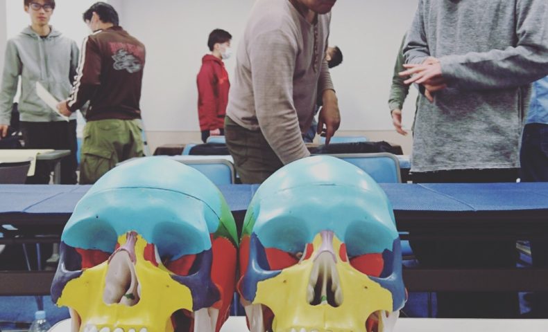 頭蓋仙骨療法を行う前に治療すべき筋 筋膜とは クラニオセイクラル セミナー 理学療法士 作業療法士 柔道整復師に向けてすべてのテクニックと心理学を掛け合わせた最先端の技術セミナーallアプローチ協会代表